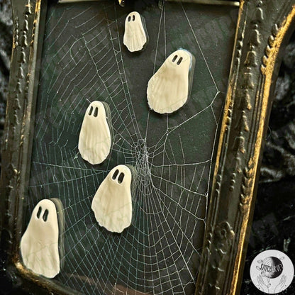 Haunting ghost picture frame with real preserved spider web