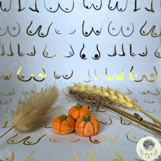 Tiny airdry pumpkin trio | Handmade to order