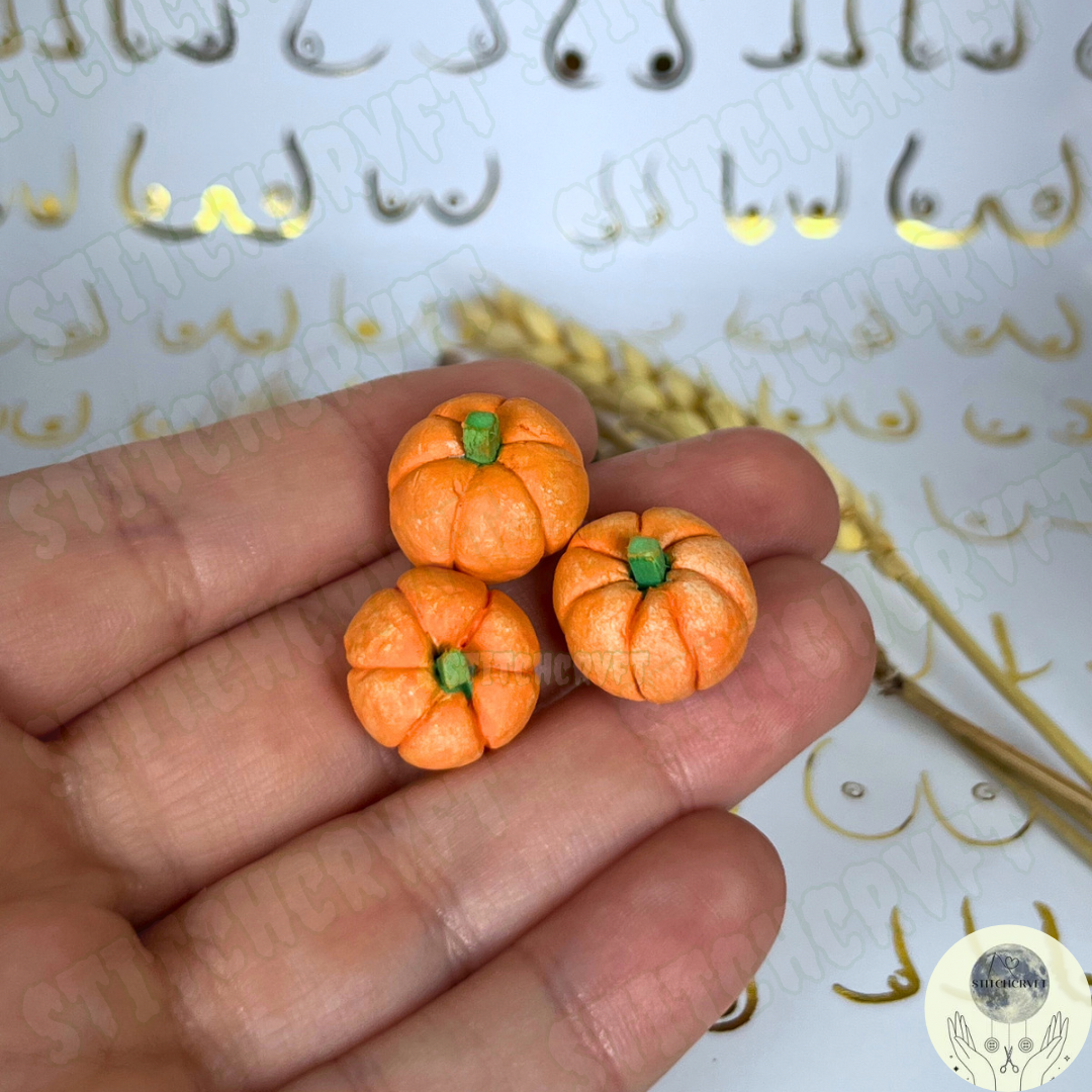 PYO Mini pumpkins  | Handmade to order