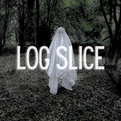 Log slice