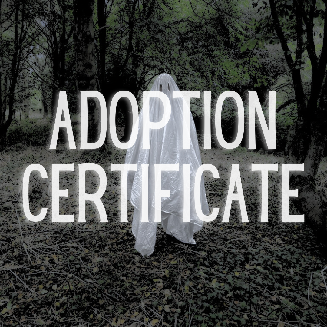 Adoption certificate