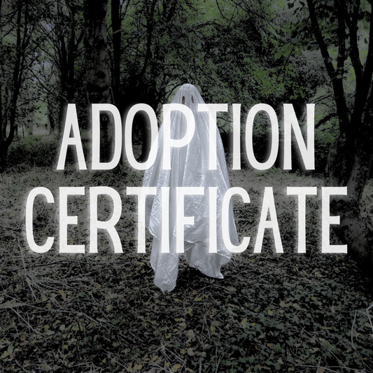 Adoption certificate