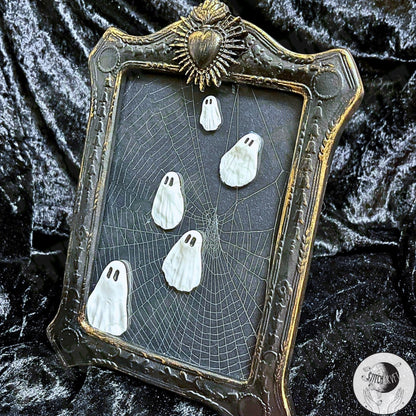 Haunting ghost picture frame with real preserved spider web